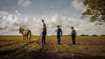Mudbound - trailer
