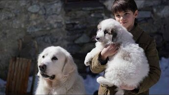 Belle and Sebastian, Friends for Life - trailer in russian