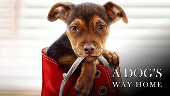 A Dog's Way Home - trailer in russian