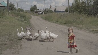 Убить нельзя оставить - трейлер