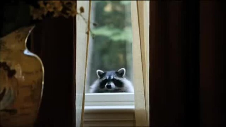 Furry Vengeance - trailer in russian