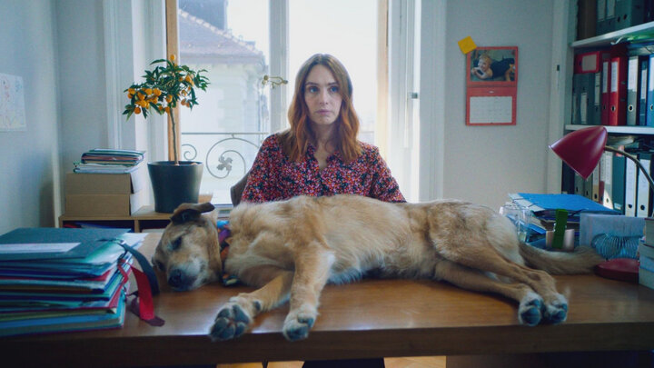 Dog on Trial - Trailer