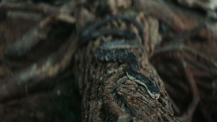 Propast' - Clip 3