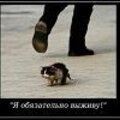 Алексей Гавенко