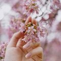 Света Васильева