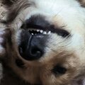 Никита Иванов