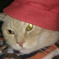 Ирина Ярмонова