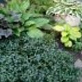 Марина Горяйнова
