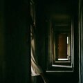 ايرا ا-دوغوزيف