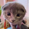 Привет Привет