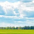 Карина Снежная