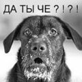 Евгений Малыгин