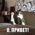 Виктор Чистяков