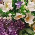 Альбина Сабитова