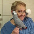 Инга Ершова