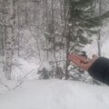 Наталья Меркулова
