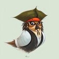 Анна Золотова