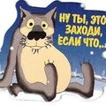 Александра Лаунец