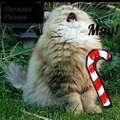 Виталий Рыжий