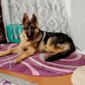 Владимир Чивилёв