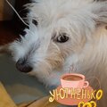 Никита Борисов