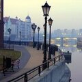 Елена Чиркунова