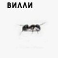 Вилли Морев
