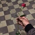 Эльнар Хорош