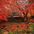 水の力 火の力