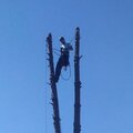 Артем Смирнов