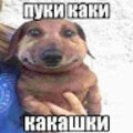 Глеб Босов
