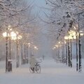 Алексей Бардасов
