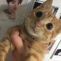 Любвеобильный Свитер