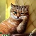 Валерий Булочкин