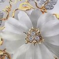 Радиана Бельгушева
