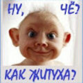 Dyst moe