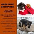Лидия Блинова