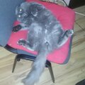 Дмитрий Носов