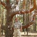 николай огородников