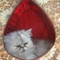 Наталия