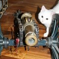Артур Губайдулин