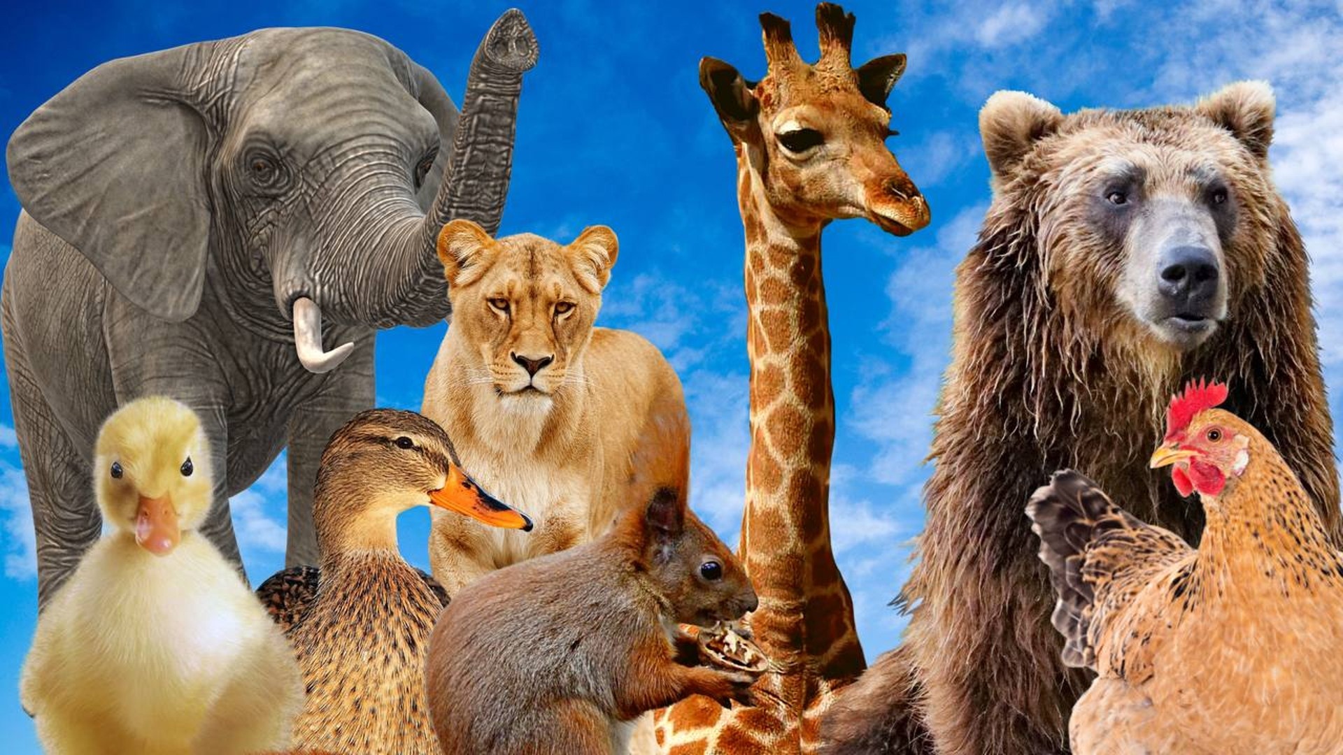 Мир фауны. Знания о животных. Животный мир 2022. Звуки животных. Опознание животных