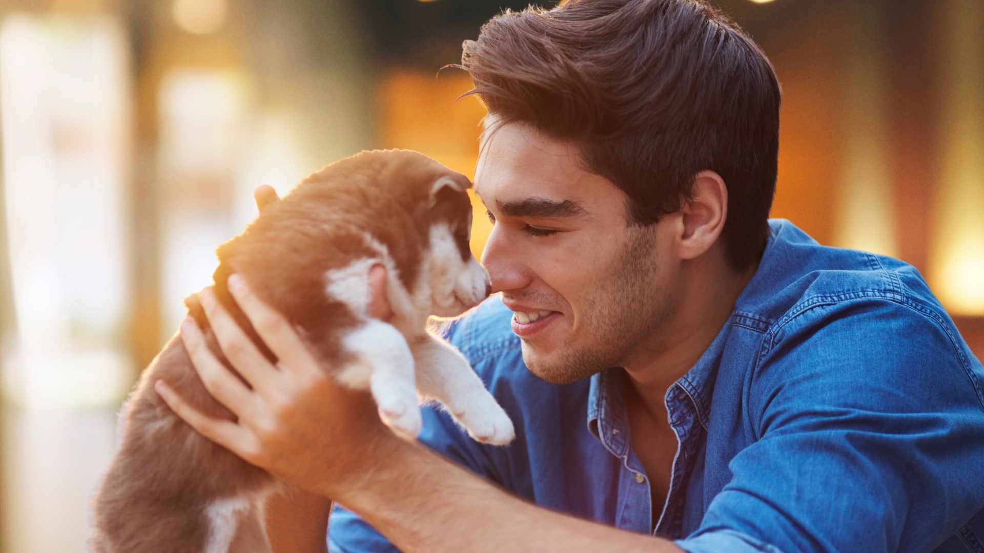 Тест: какой вы хозяин для вашего питомца?