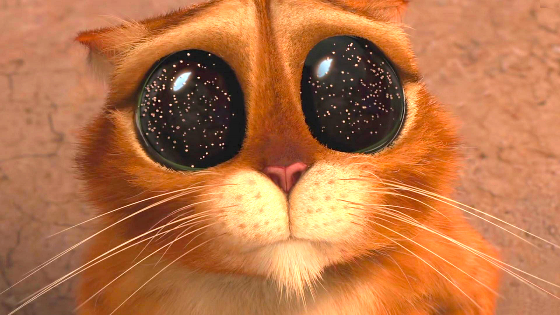 Случае говорят пожалуйста. Кот из Шрека. Милые глазки. Глазки кота из Шрека. Кот в сапогах глаза космос.