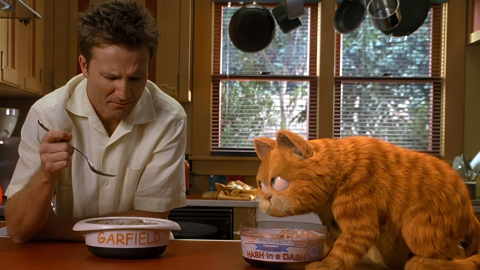 Гарфилд отзывы. Гарфилд 2004. Гарфилд - Garfield (2004). Хозяин Гарфилда Джон.