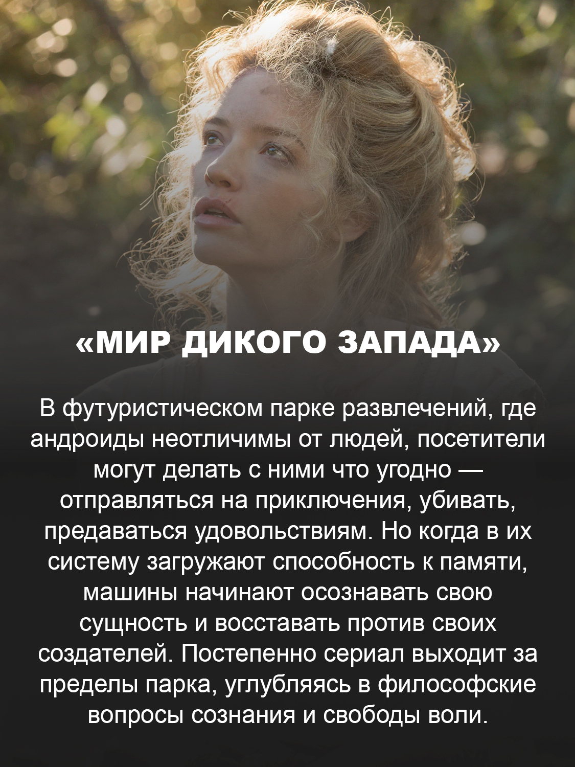 «Мир Дикого Запада»