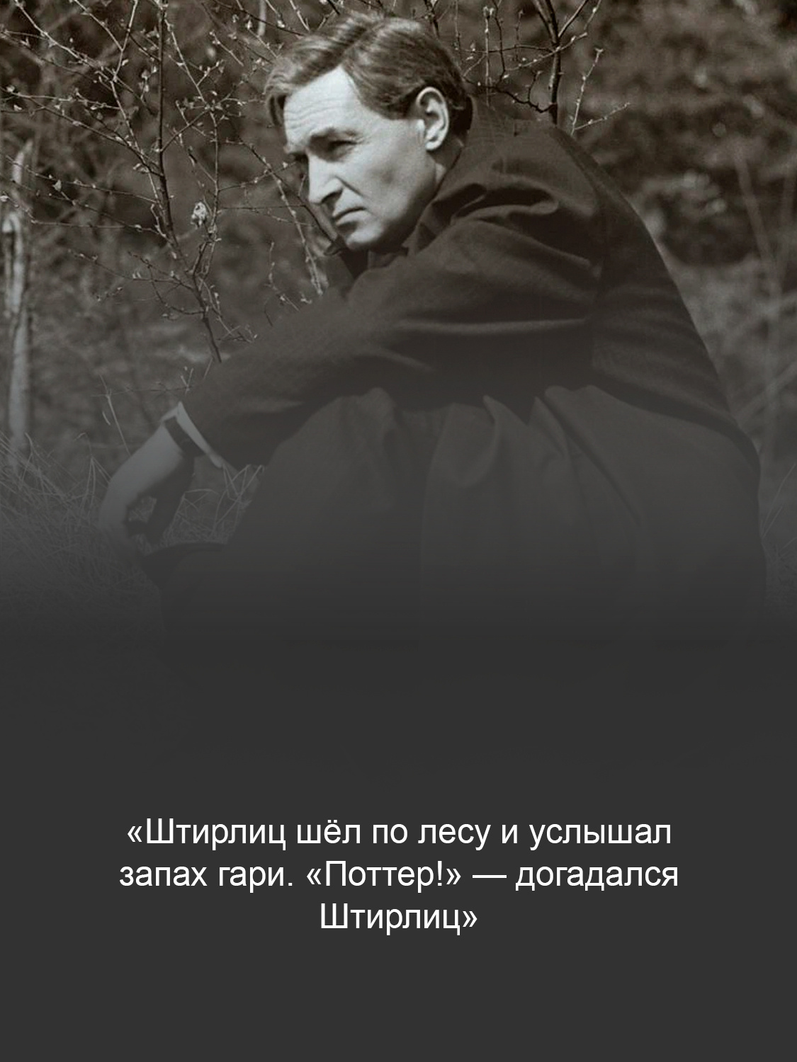 Кадр из фильма «Семнадцать мгновений весны»