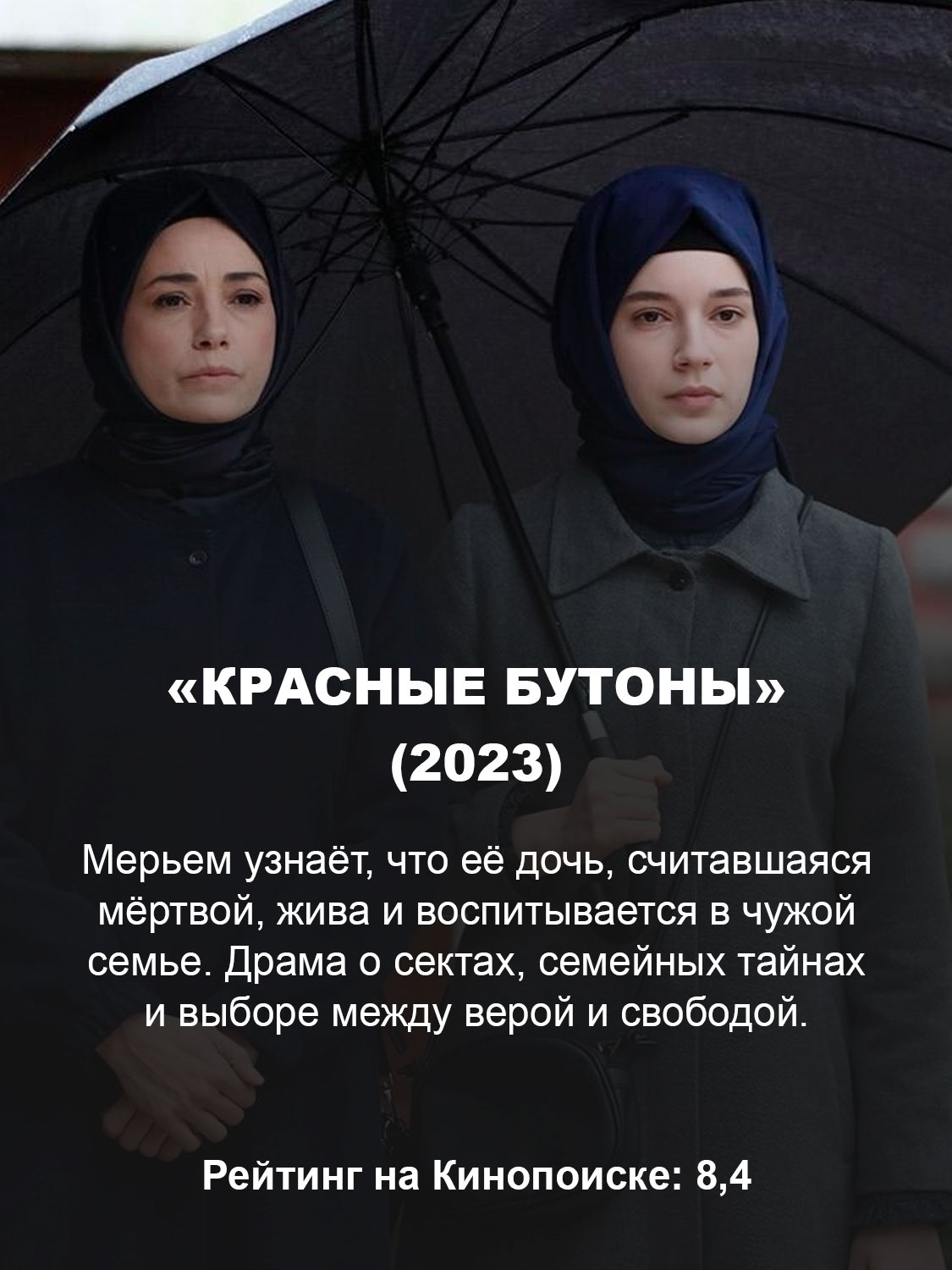 «Красные бутоны» (2023)
