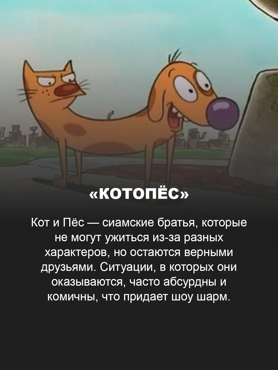 «Котопёс»