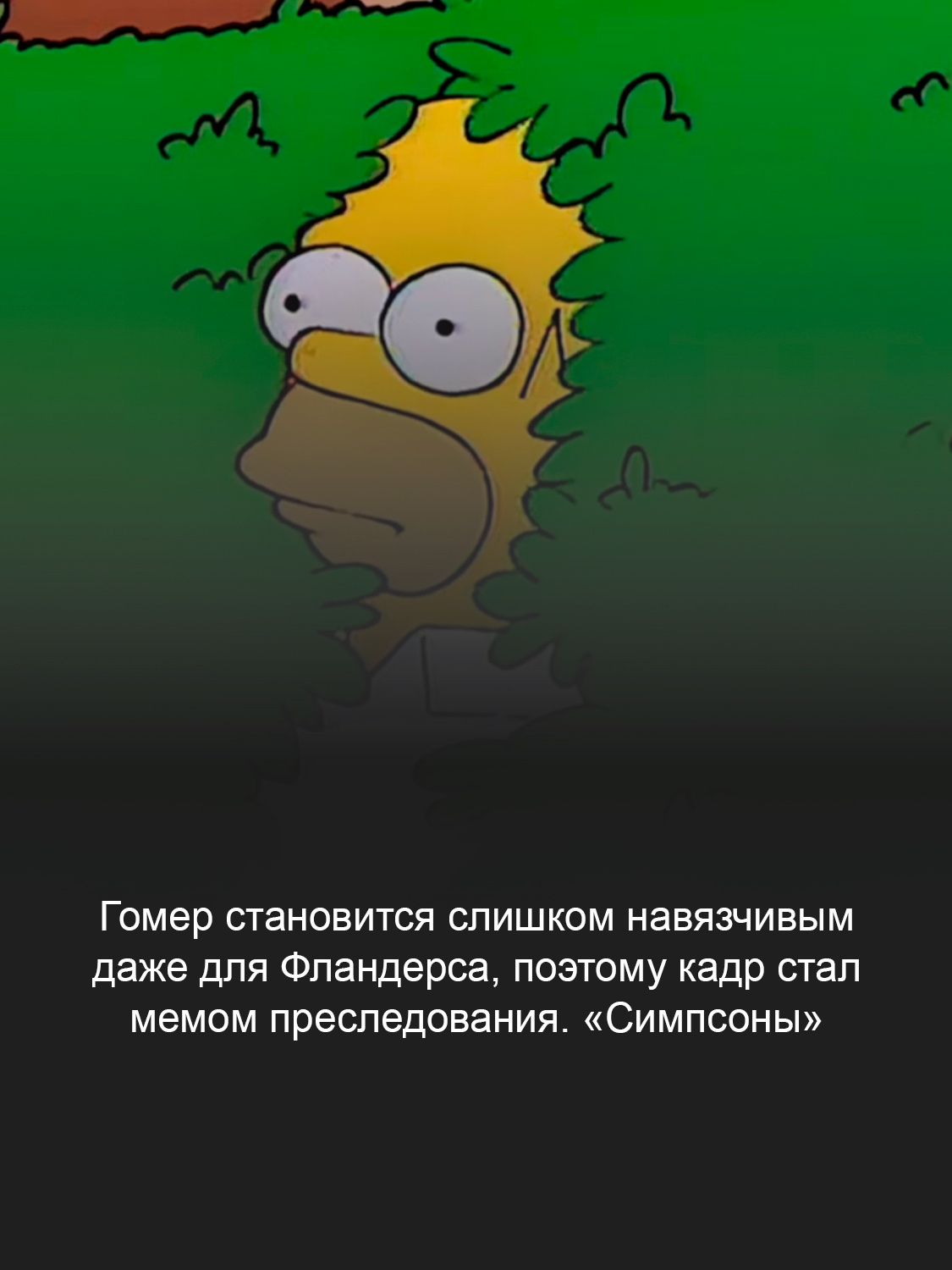 Кадр из мультфильма «Симпсоны» 